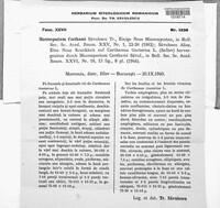 Image of Alternaria carthami-tinctorii